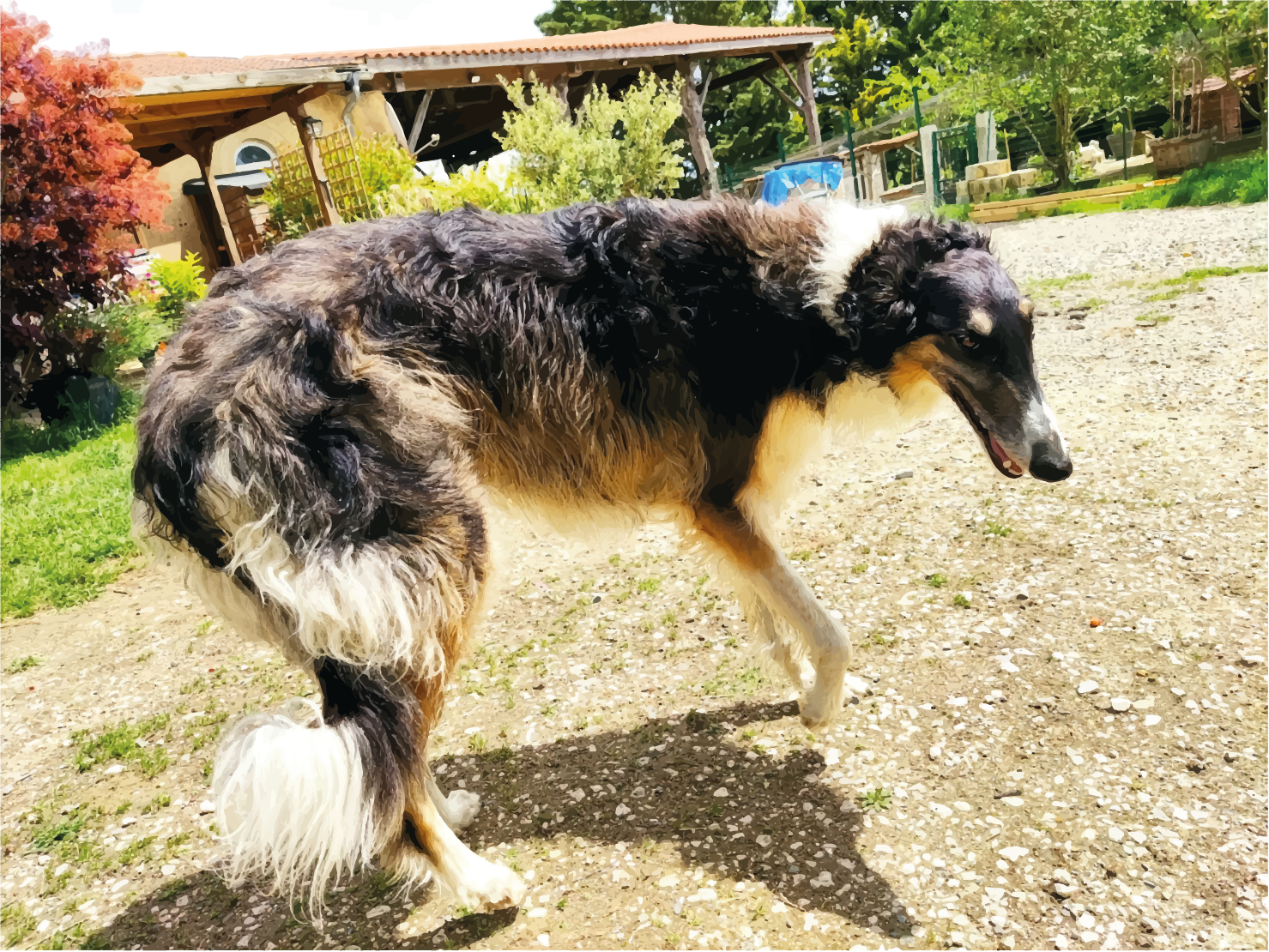 Les chiens de la ferme