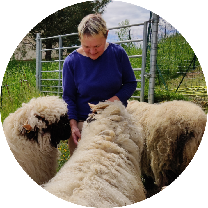 Isabelle qui nourrit les moutons suisses de la ferme du coq à l'âne avec du pain. Elle porte un tee-shirt à manche longue bleu