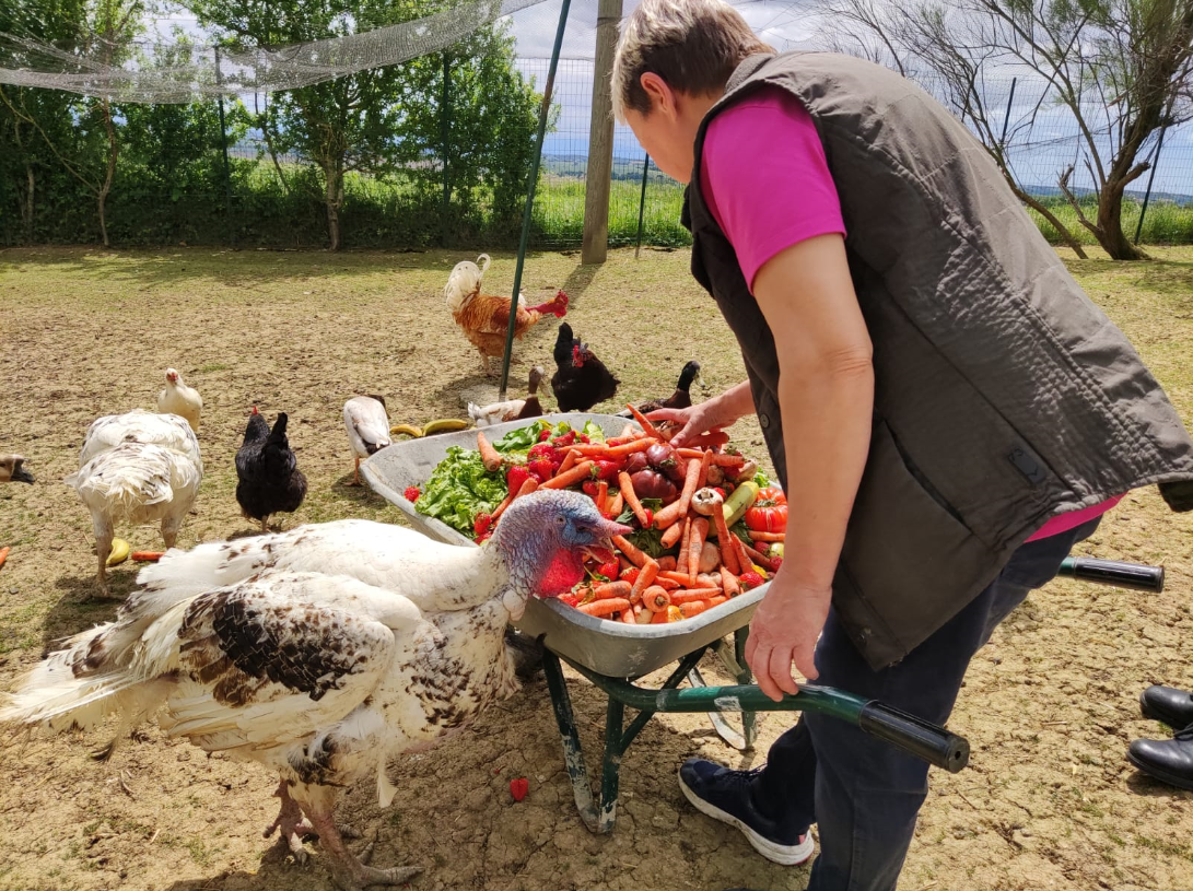 Isabelle qui transporte et nourrit les animaux de la basse-cour grâce à une brouette